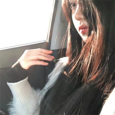 没人瞭波斯猫